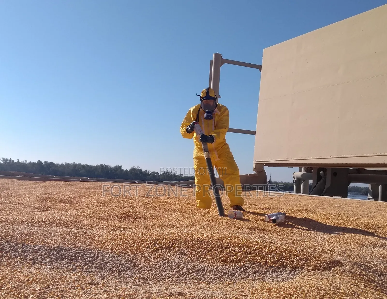 Clean Your Construction Sites of Harmful Pest.