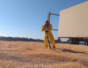 Clean Your Construction Sites of Harmful Pest.