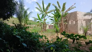 Two Plots of Land for Sale