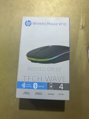 Wireless Mouse W10