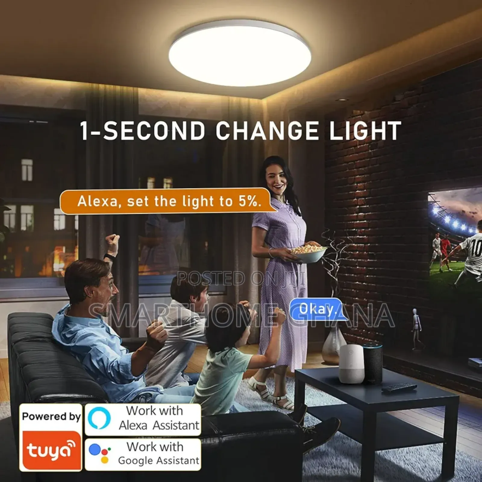 Led Smart Ceiling Light