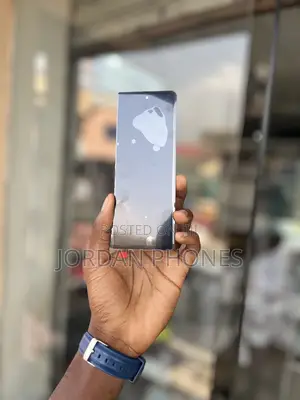 Galaxy Fold 3 Screen