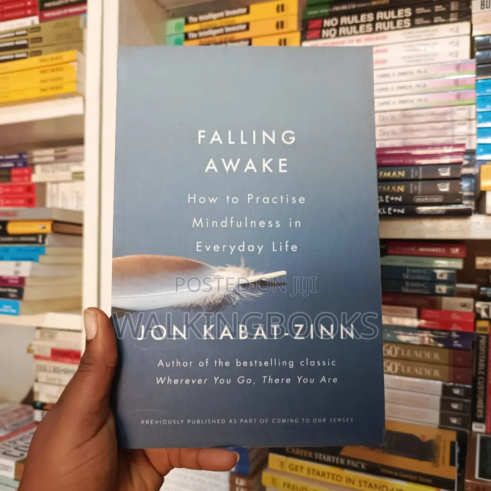 Falling Awake by Jon Kabat-Zinn