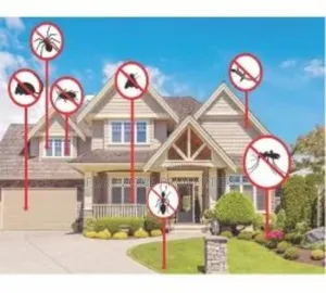 Eco Friendly Fumigation