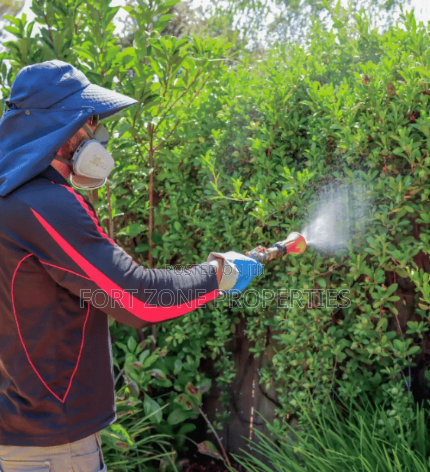 Eco Friendly Fumigation