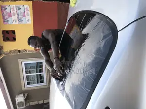 Back Tinting
