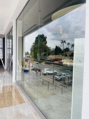 Window Glass Cleaning