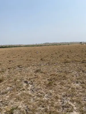 Tsopoli Airport City Lands on Sale