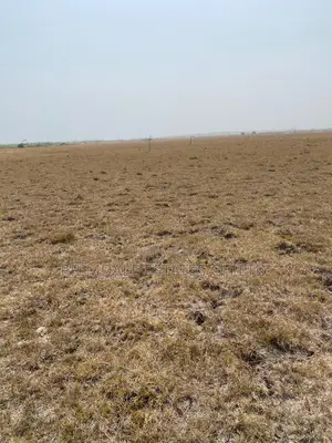 Estate Lands Tsopoli-Lapkleku Affordable