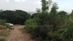 2 Acres of Land at Ayi Mensah