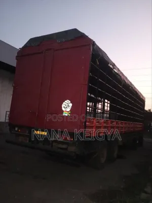 Cargo Transport