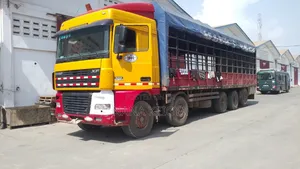 All Kinds of Trucks