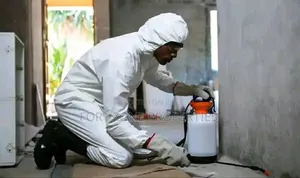 Fumigation and Gardening Service