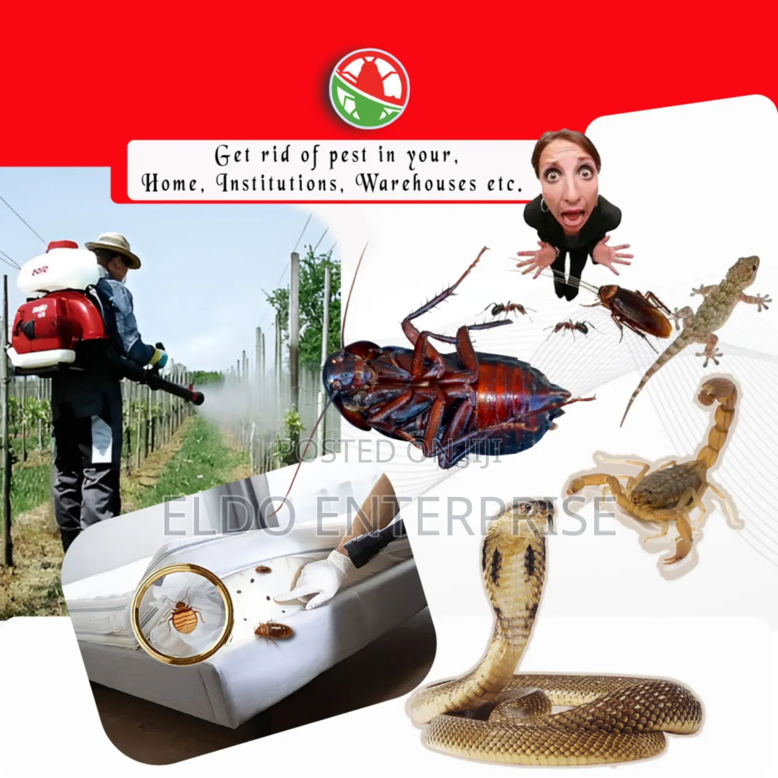 Commercial Fumigation Service