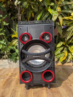 Professinal Speaker System With Two Microphones
