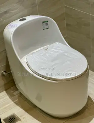 Modern Jet Flushing _Water Closet