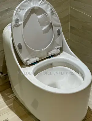 Modern Jet Flushing _Water Closet