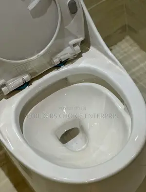 Modern Jet Flushing _Water Closet