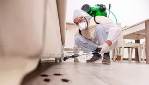Settle All Your Pest Control and Fumigation With Cleantex