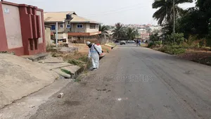 All Insects and Disinfectant Services in Ghana