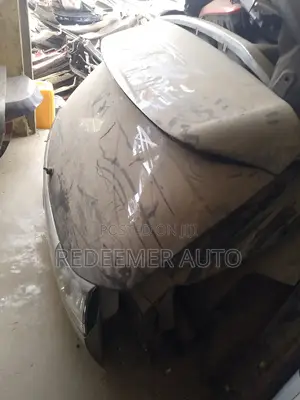 Lexus RX 350 Boot/Tail Gate/Lexus RX330 BOOT