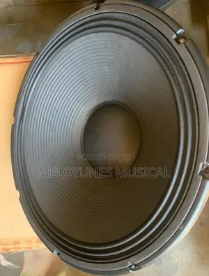 JLD 2500watt 18inches Double Magnet Naked Speaker