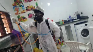 Special Kitchnen,Partment,Hotel,Warehouse Fumigation