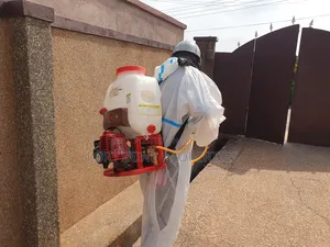 Fumigation Masters With Cleantex