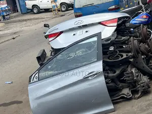 Hyundai Elantra Doors