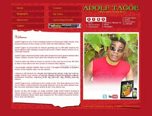 Professional Website Design Development