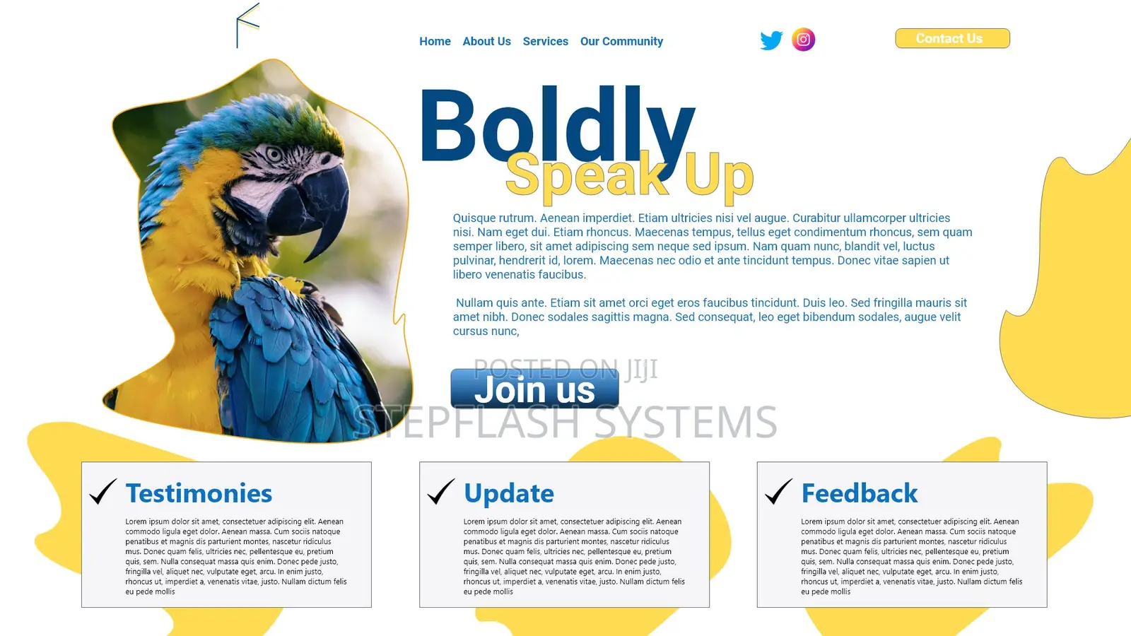 Professional Website Design Development