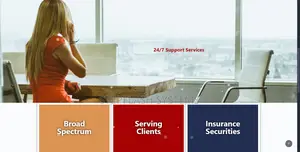 Professional Website Design Development