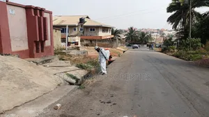Clean Now Fumigation Services.