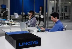 Linksys Business Dual WAN Gigabit VPN Router (LRT224)