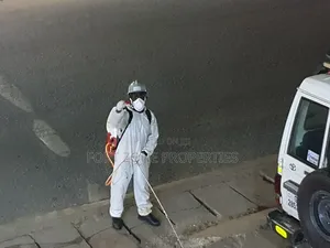 Destroy All Bedbugs and Cockroaches From Home