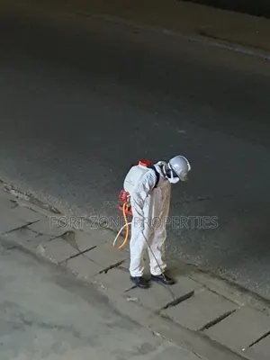 Destroy All Bedbugs and Cockroaches From Home