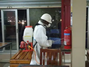 Daily Pest Control Pest Control With Cleantex.