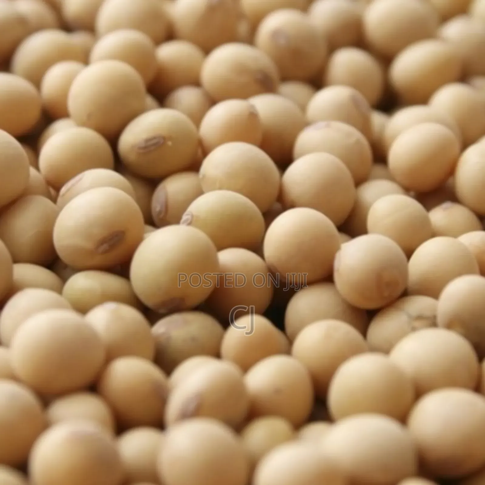 Soya Beans