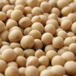 Soya Beans
