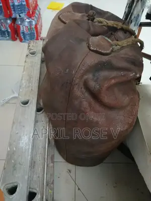 Boxing Punching Bag