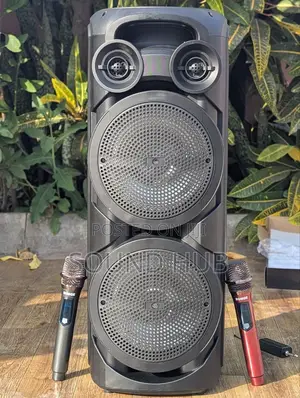 Professional Speaker System With Two Microphones