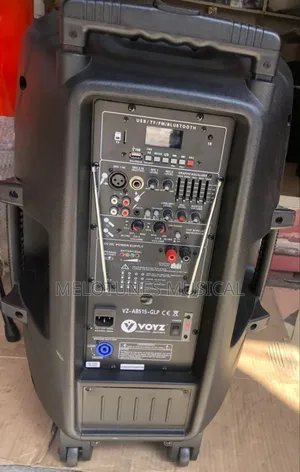 Voyz 15inches Bluetooth Speaker With Two Microphone