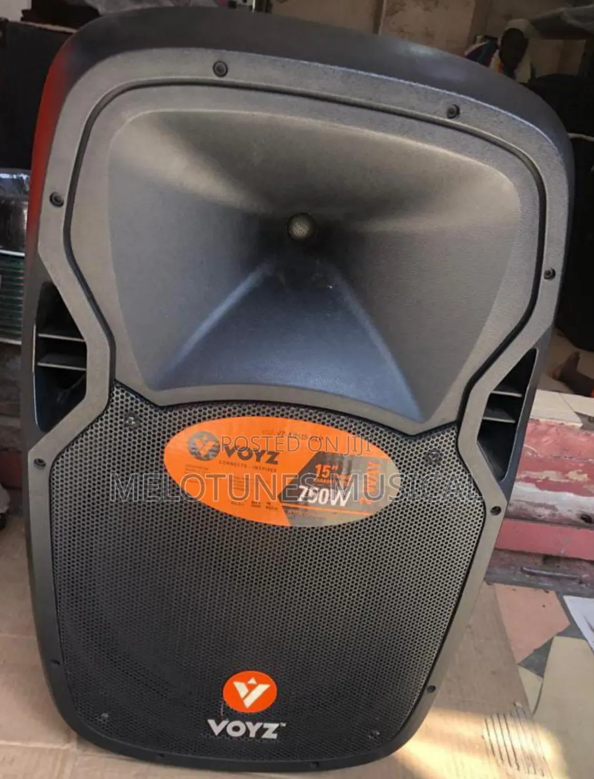 Voyz 15inches Bluetooth Speaker With Two Microphone