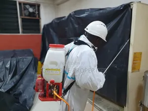 Bedbugs and Mosquitoes Control for Schools,Hostelsand Homes