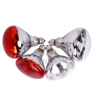 Wholesale and Retail Heater Infared Brooder Bulbs High Quality