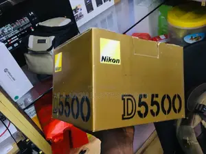 Nikon D5500: Your Creative Companion