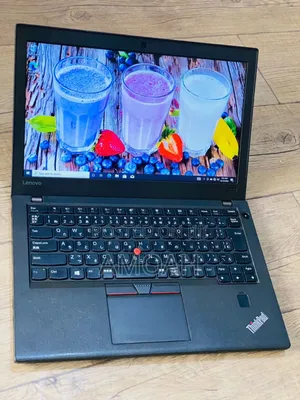 Laptop Lenovo ThinkPad X270 8GB Intel Core I5 HDD 500GB