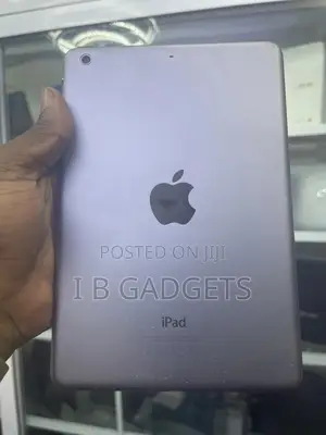 Apple iPad mini 1 16 GB Gray