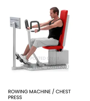 Frei Chest Press and Rower