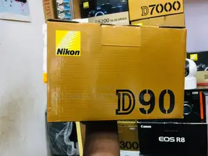 Nikon D90 With 18-104mm Lens: Capture Your World